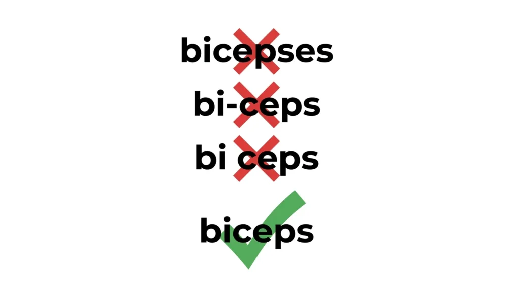 bicep or biceps