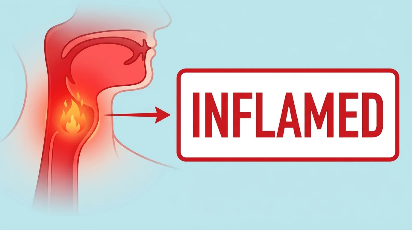 enflamed or inflamed