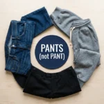 pant or pants